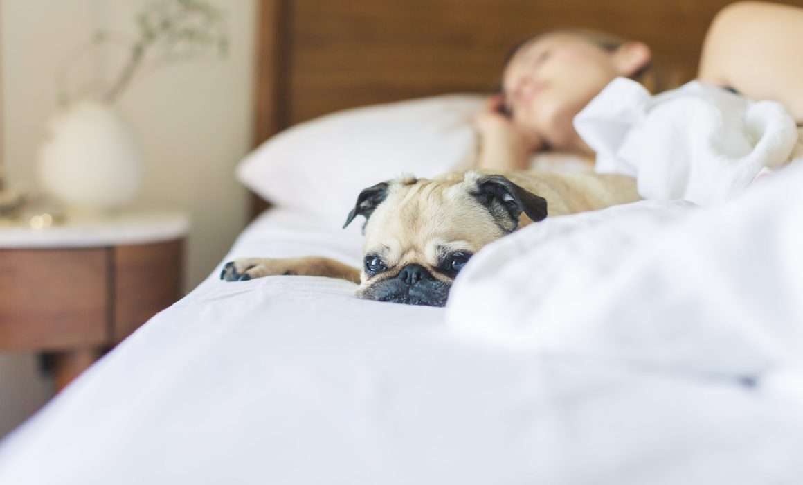 woman-sleeping-in-bed-with-dog
