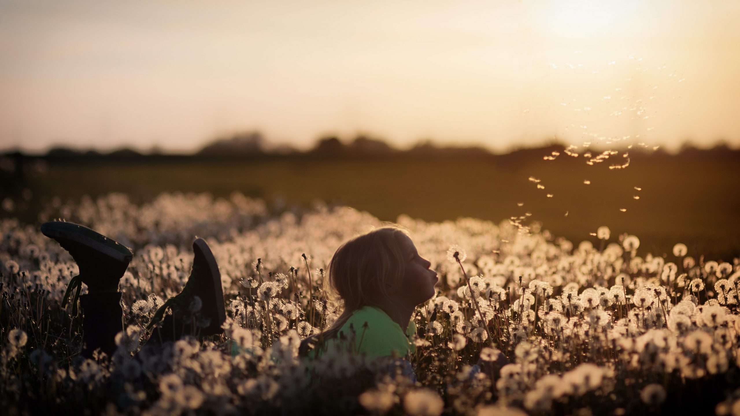 gir-in-field-blowing-dandelion