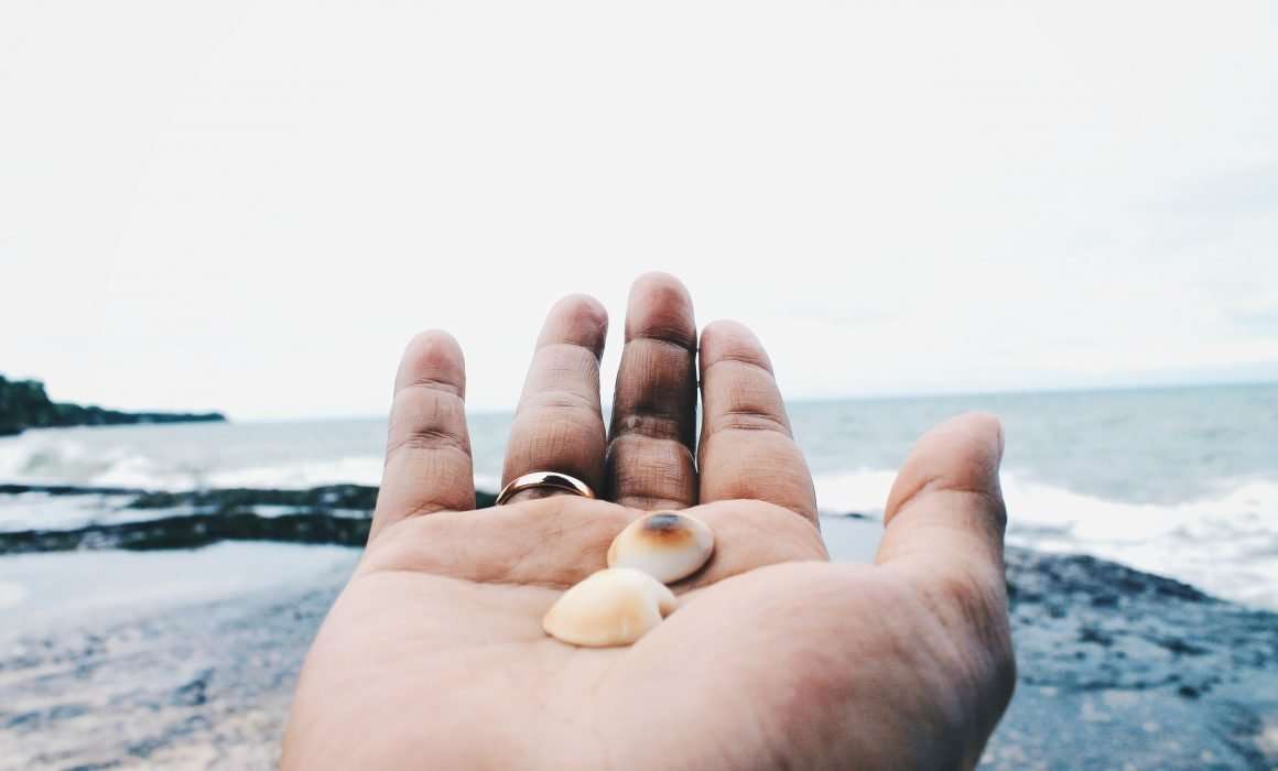 in-the-now-shells-in-outstretched-hand
