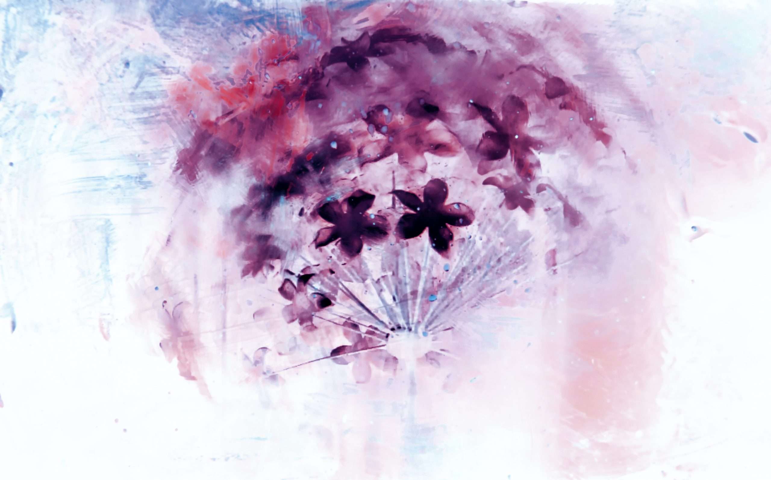 negative-image-of-flowers