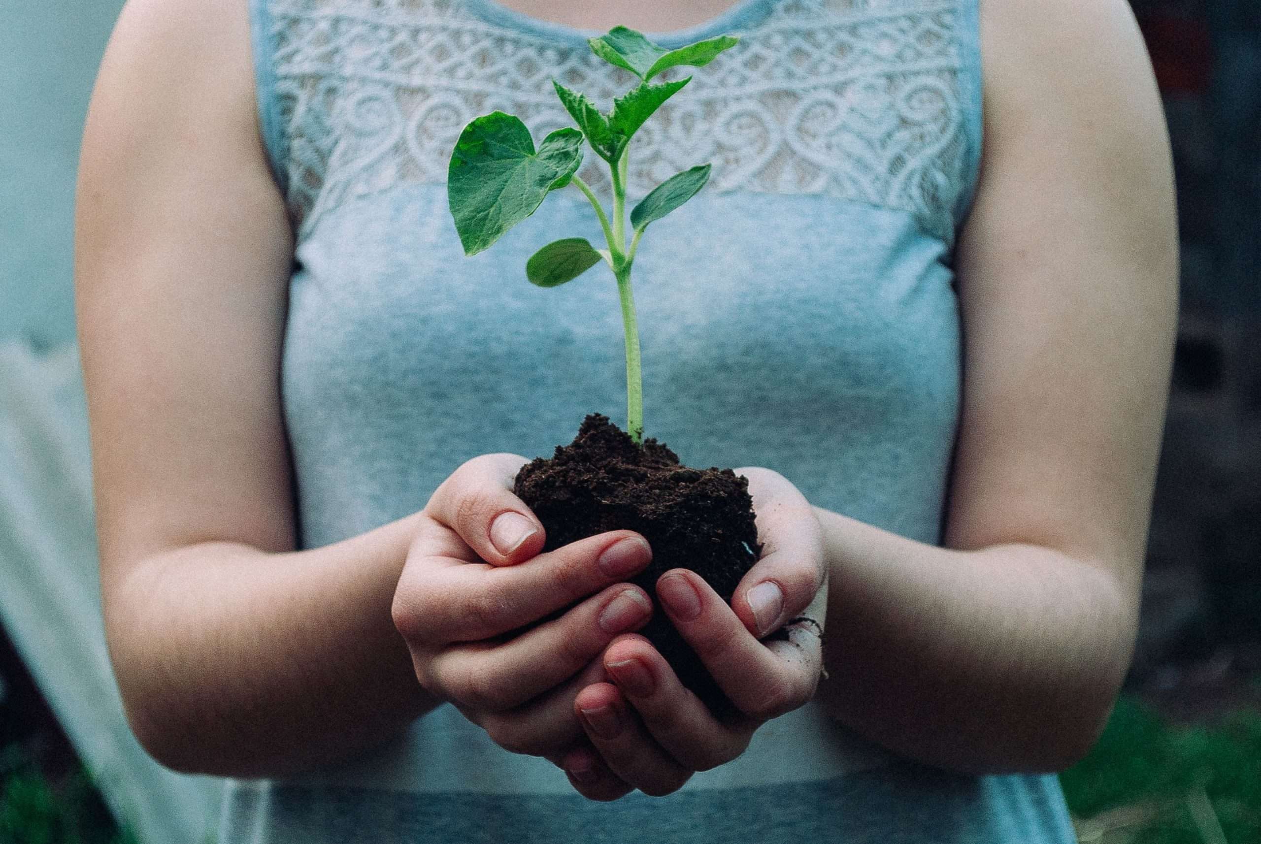 hands-holding-plant-in-soil-signal-for-growth-allowing-yourself-to-grow-blog-post