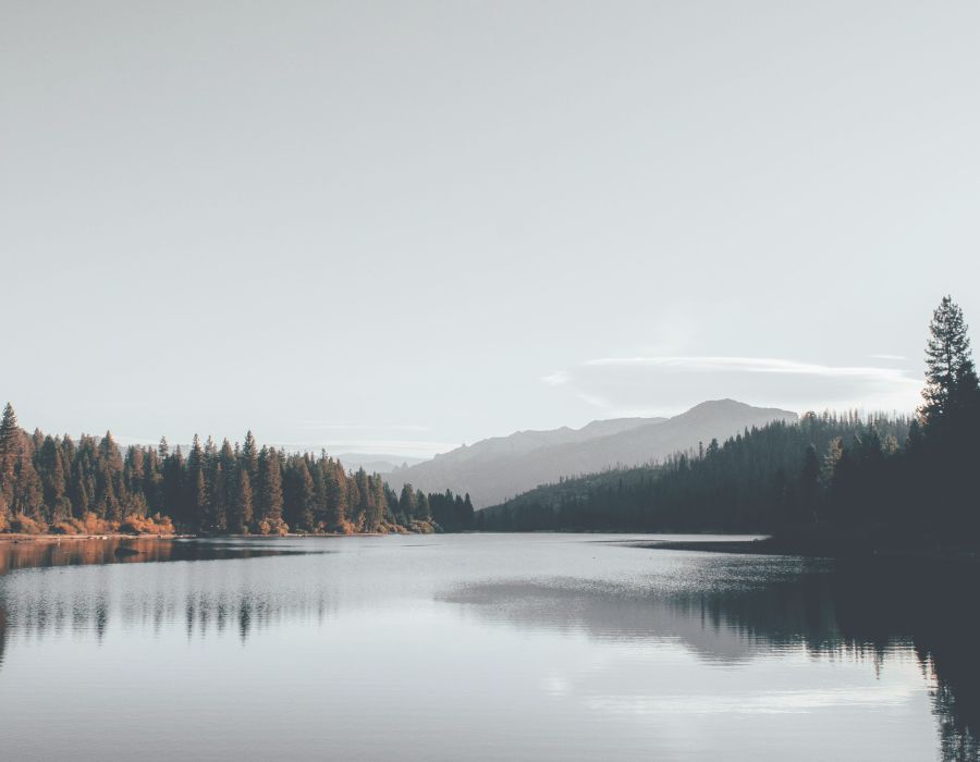 lakeside-stillness