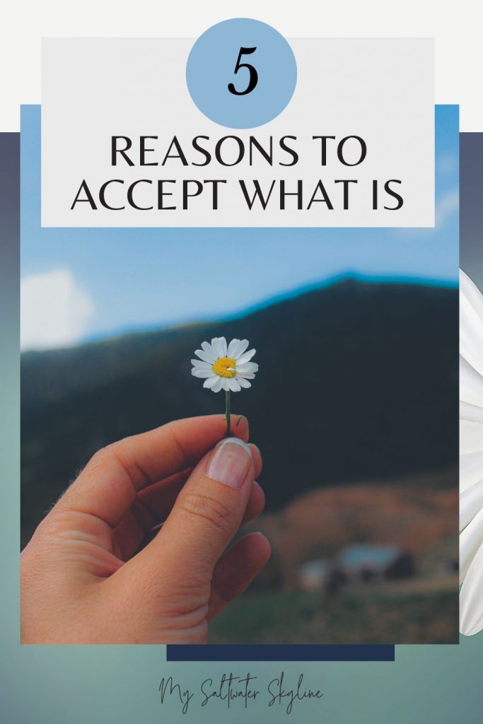 five-reasons-to-accept-what-is-blog-pin-hand-holding-daisy-mountain-background