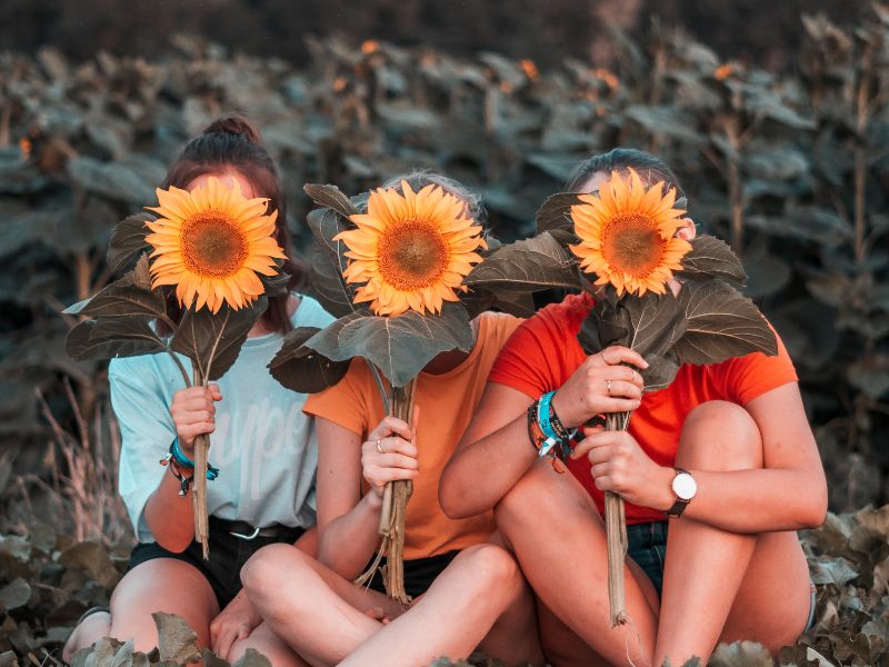 are you having any fun blog 3 women sunflowers covering faces